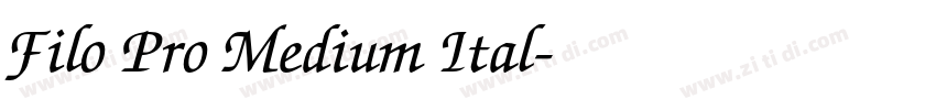 Filo Pro Medium Ital字体转换